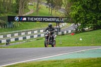 Evening Low_Mid Group Silver_Grey Bikes